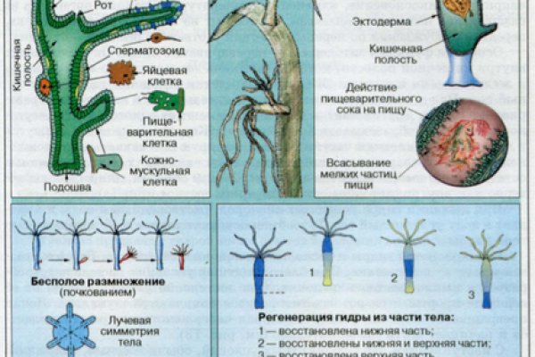 Кракен сайт 2krnk